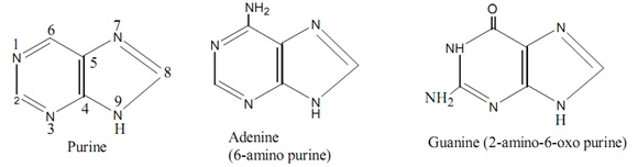 Holt chemistry homework help